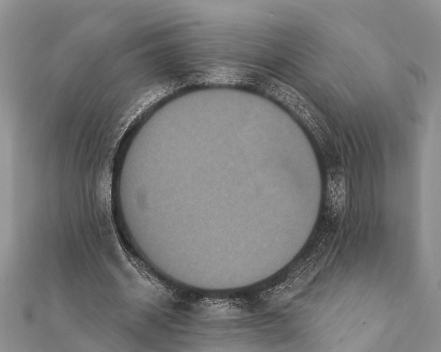 X0000112000534200908241435