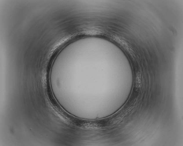 X0000112000535200908241435