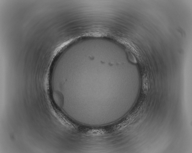 X0000112000536200908241435