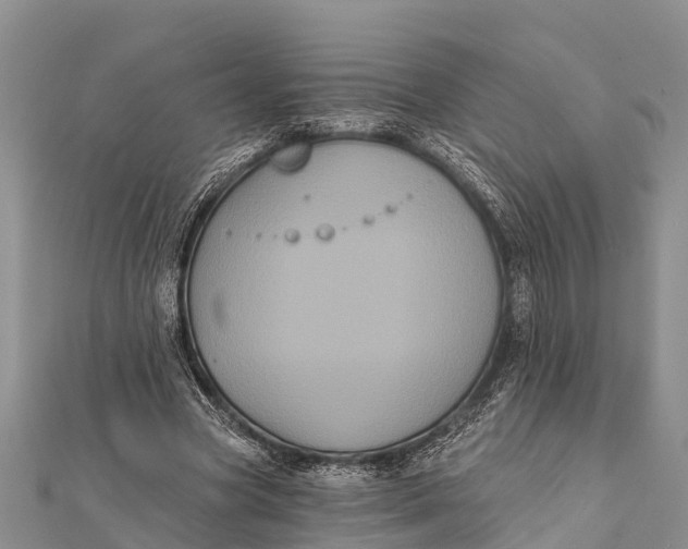 X0000112000537200908241435