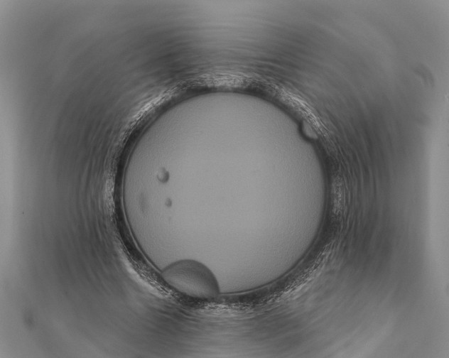 X0000112000538200908241435