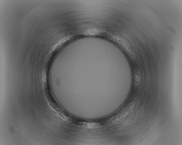 X0000112000539200908241435