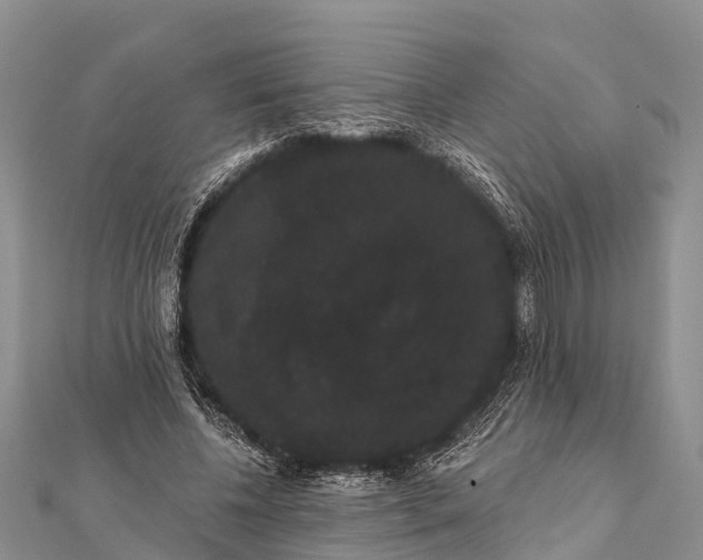 X0000112000540200908241435