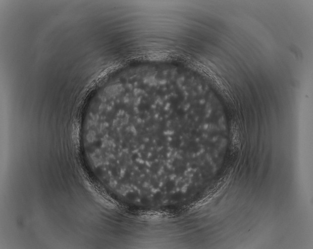 X0000112000542200908241435