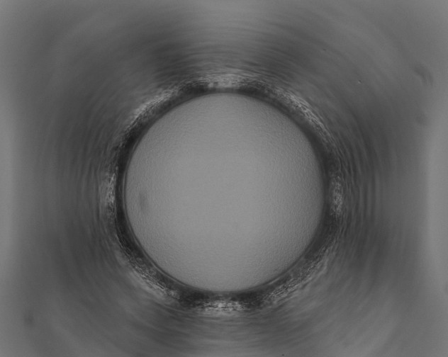 X0000112000543200908241435