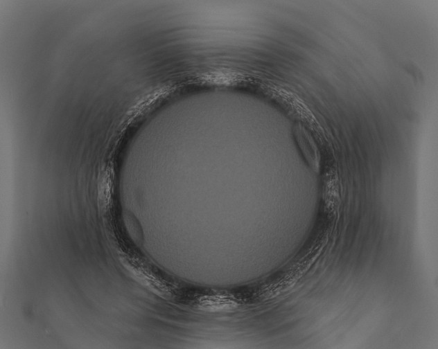 X0000112000544200908241435