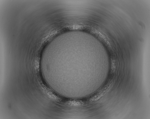 X0000112000545200908241435