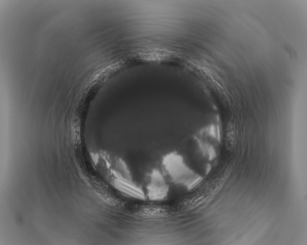 X0000112000547200908241435