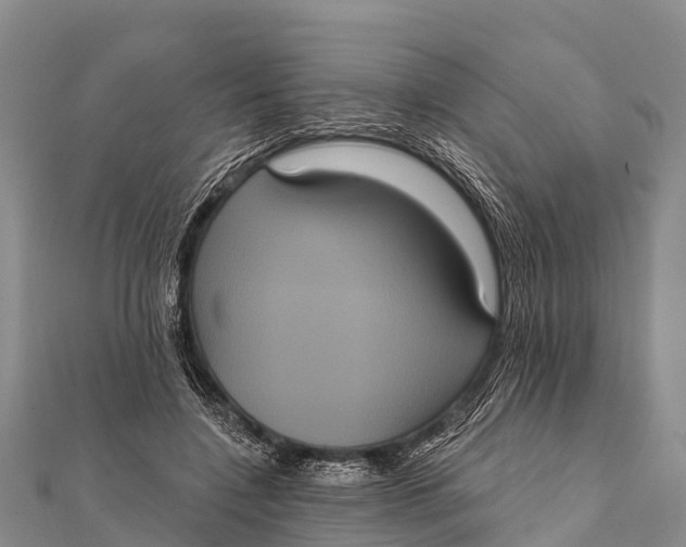 X0000112000548200908241435