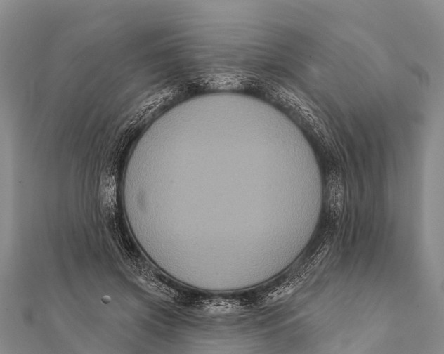 X0000112000549200908241435