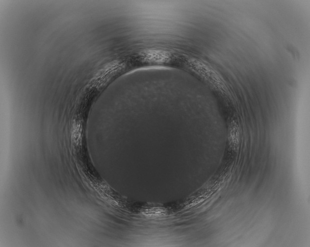 X0000112000551200908241435