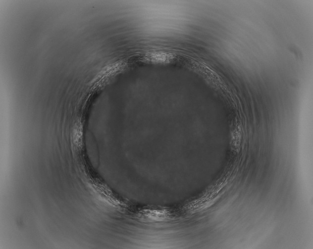 X0000112000552200908241435