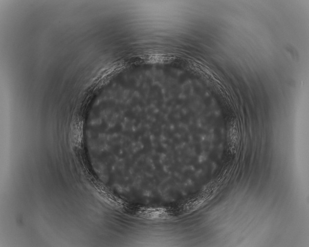 X0000112000554200908241435