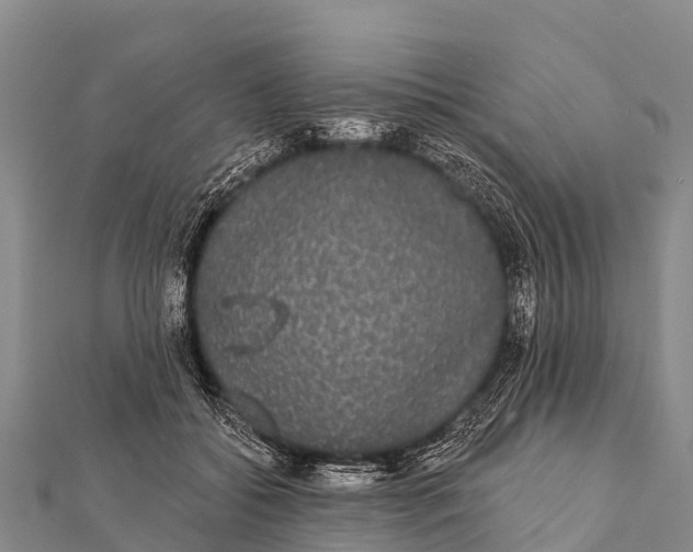 X0000112000556200908241435