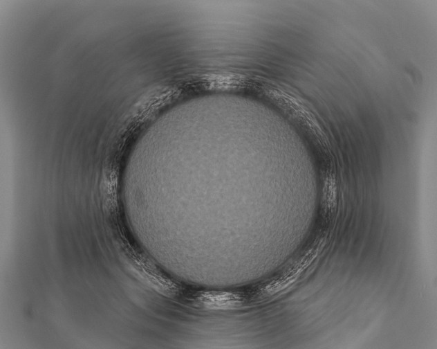 X0000112000557200908241435