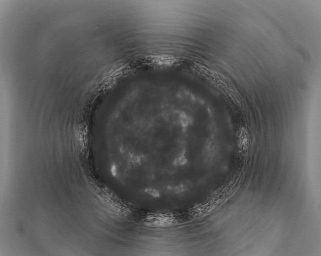 X0000112000559200908241435