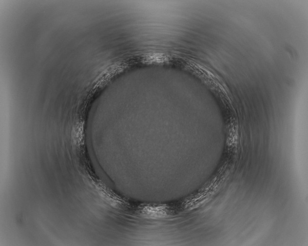 X0000112000560200908241435