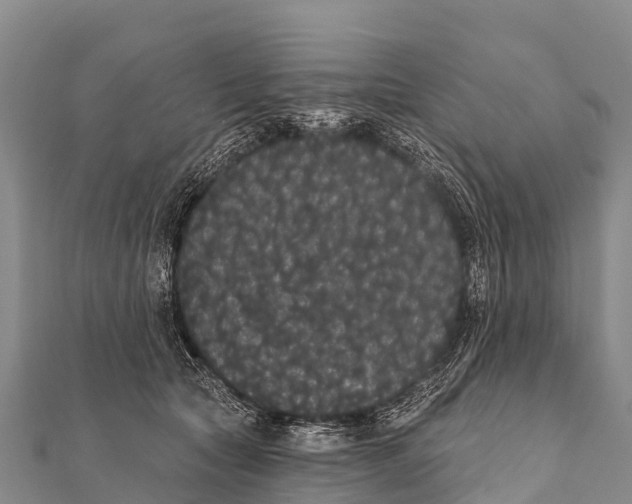 X0000112000561200908241435