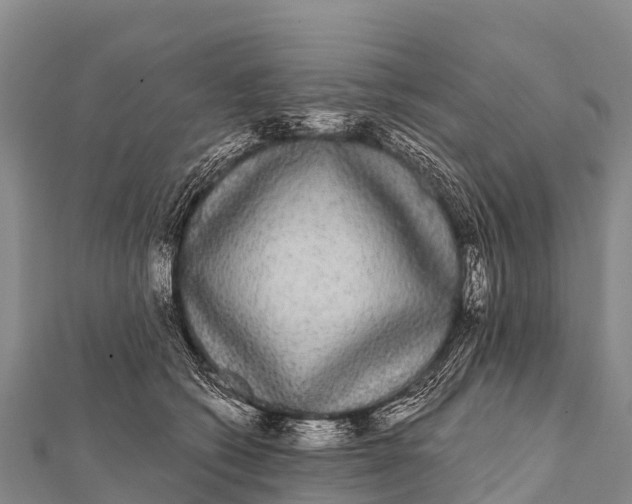 X0000112000562200908241435