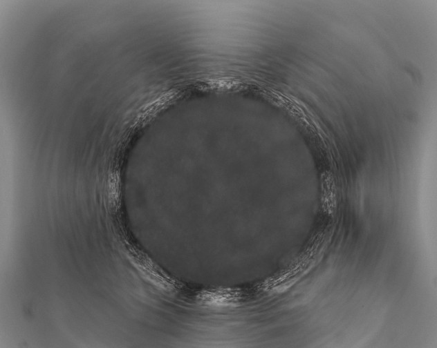 X0000112000563200908241435