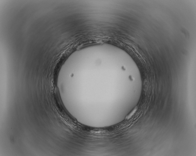 X0000112000564200908241435