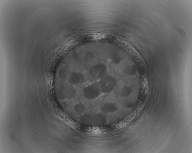 X0000112000565200908241435