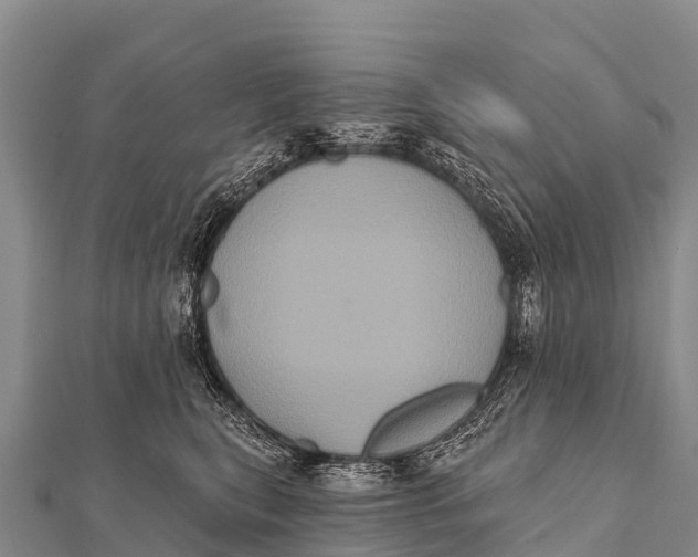 X0000112000567200908241435