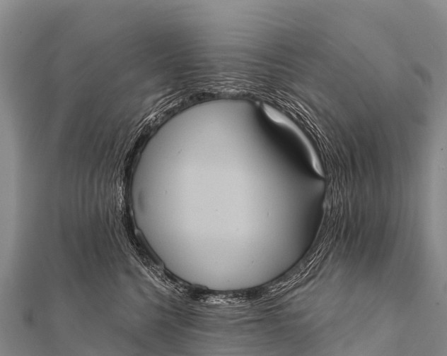 X0000112000568200908241435