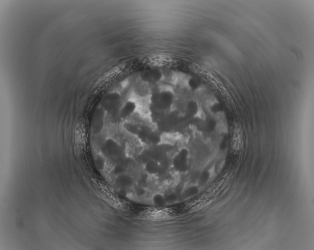 X0000112000569200908241435