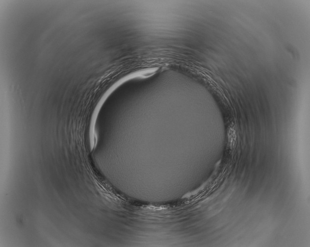 X0000112000570200908241435