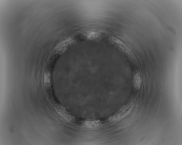 X0000112000571200908241435