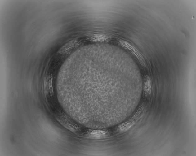 X0000112000572200908241435