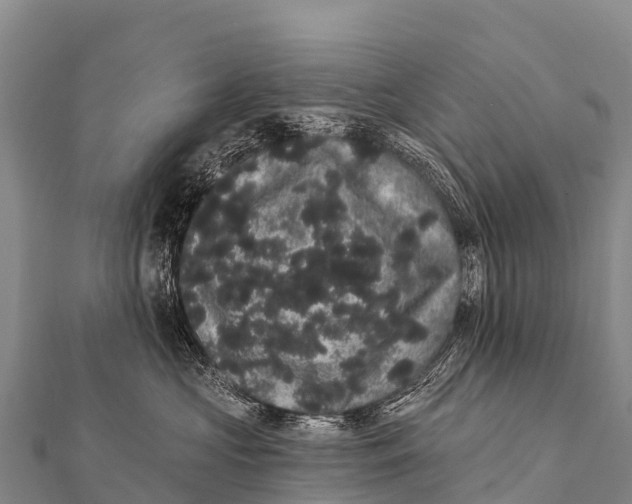 X0000112000573200908241435