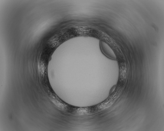 X0000112000574200908241435