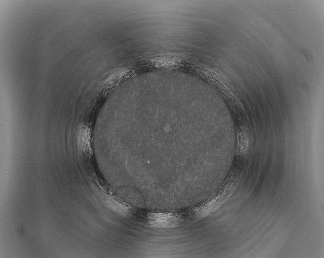 X0000112000575200908241435