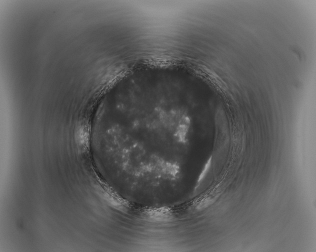 X0000112000576200908241435