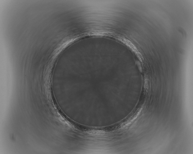 X0000112000577200908241435