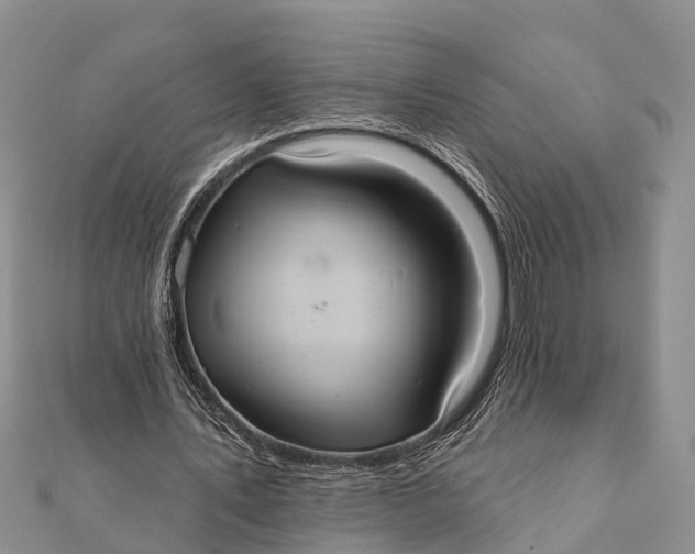 X0000112000579200908241435