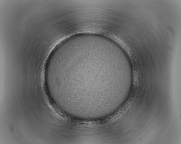 X0000112000580200908241435