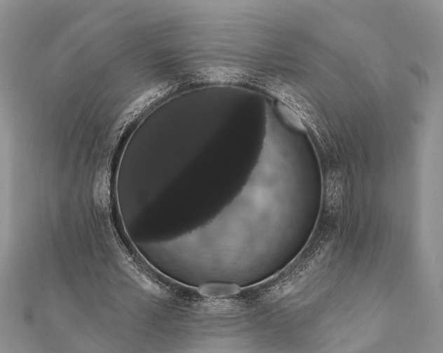 X0000112000581200908241435