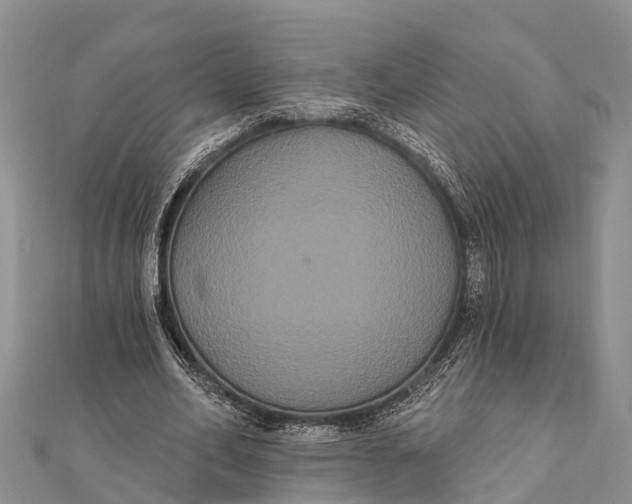 X0000112000582200908241435