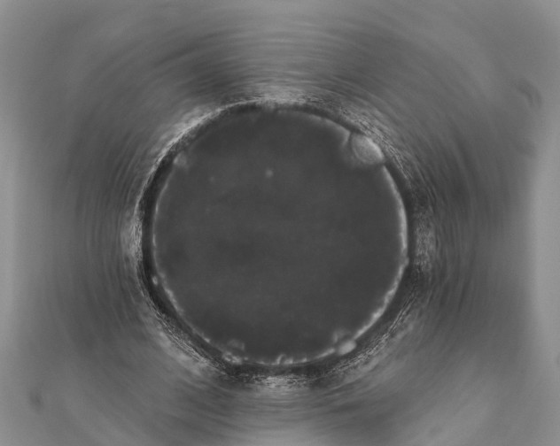 X0000112000584200908241435