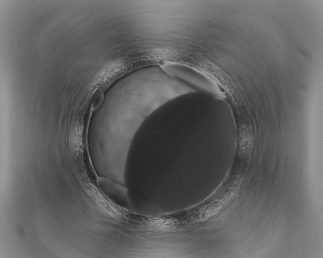 X0000112000585200908241435