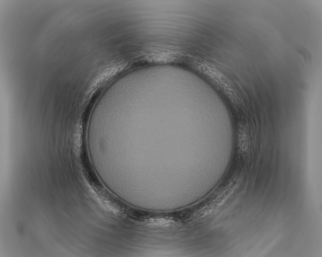 X0000112000586200908241435