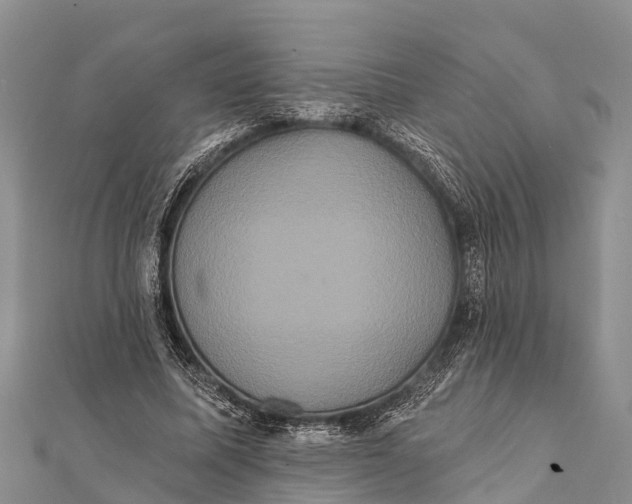 X0000112000587200908241435