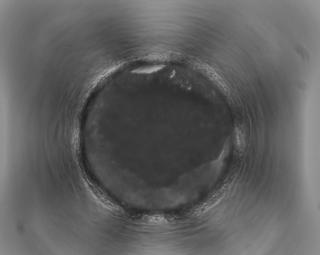 X0000112000588200908241435