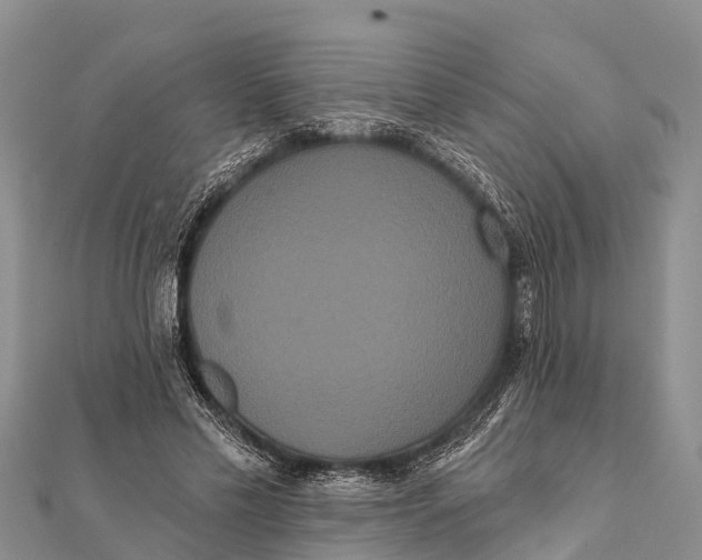 X0000112000589200908241435