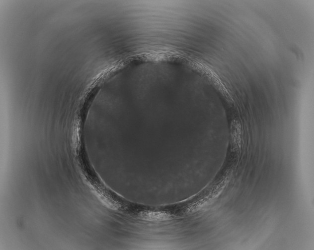 X0000112000590200908241435