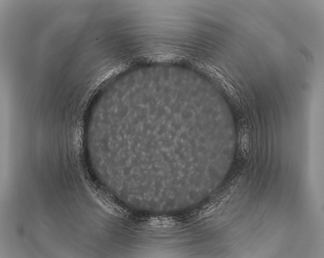 X0000112000591200908241435