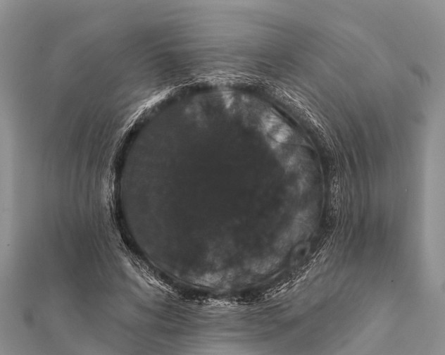 X0000112000592200908241435